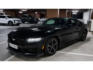2024 Ford Mustang in Dubai used car