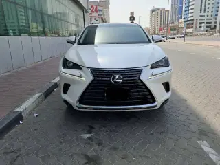 2019 Lexus NX in Dubai used car