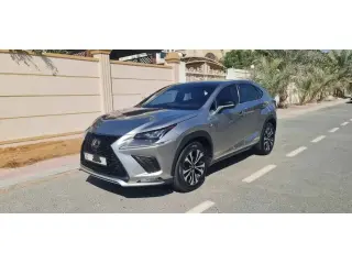 2022 Lexus RX in Dubai used car