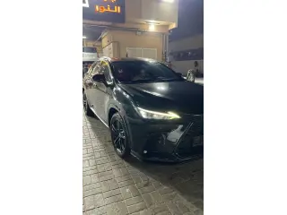 2024 Lexus NX in Dubai used car
