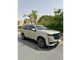 2023 Cadillac Escalade in Dubai used car