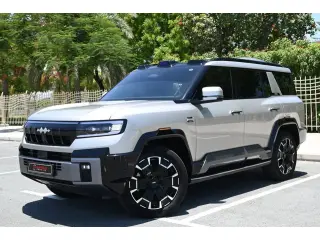 2025 BYD Leopard in Dubai used car